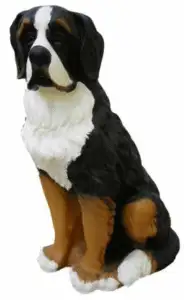 Sankt Bernhard-hundform